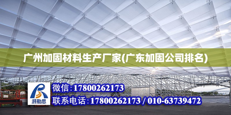 广州加固材料生产厂家(广东加固公司排名)