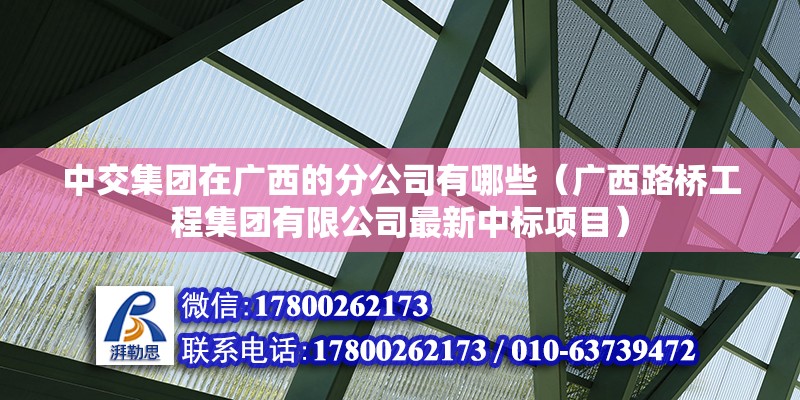 中交集团在广西的分公司有哪些（广西路桥工程集团有限公司最新中标项目）