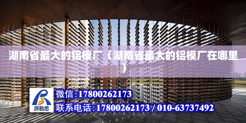 湖南省最大的铝模厂（湖南省最大的铝模厂在哪里）