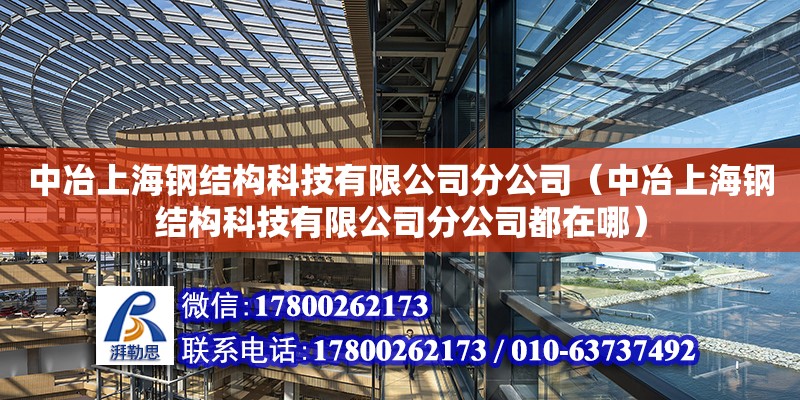 中冶上海钢结构科技有限公司分公司（中冶上海钢结构科技有限公司分公司都在哪）