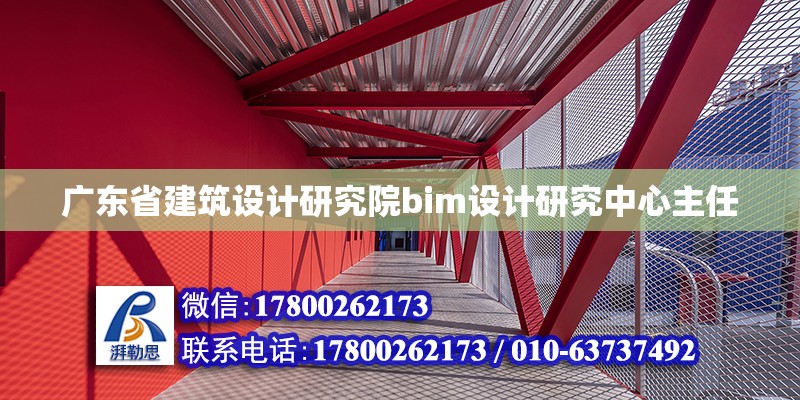 广东省建筑设计研究院bim设计研究中心主任