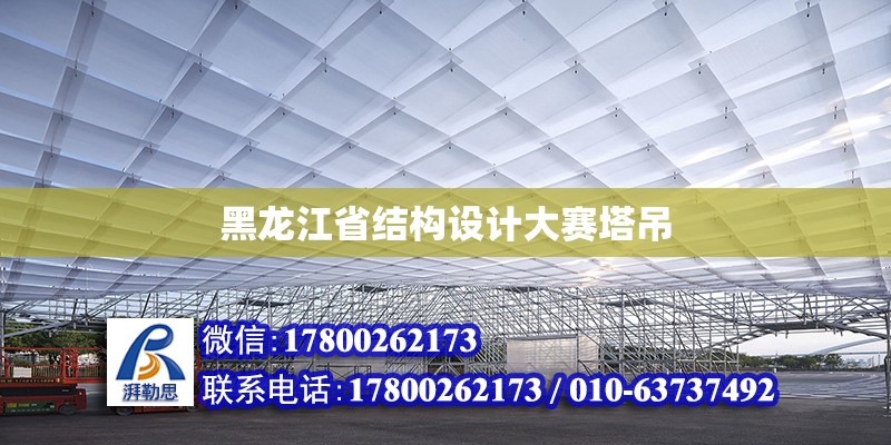 黑龙江省结构设计大赛塔吊