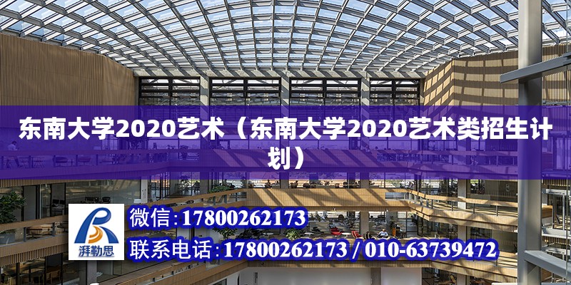 东南大学2020艺术（东南大学2020艺术类招生计划）