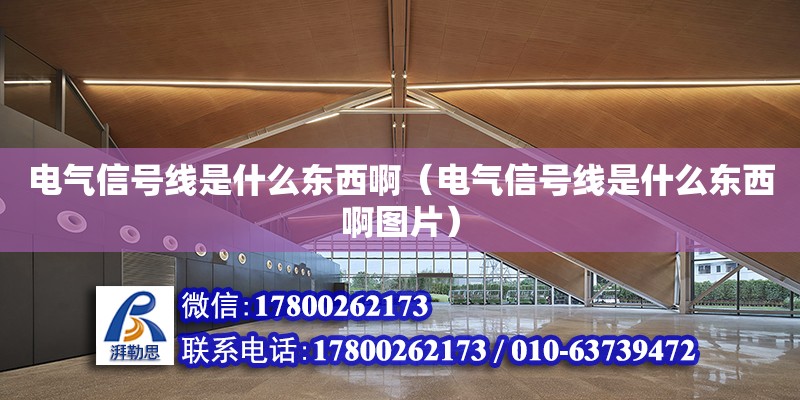 电气信号线是什么东西啊（电气信号线是什么东西啊图片）
