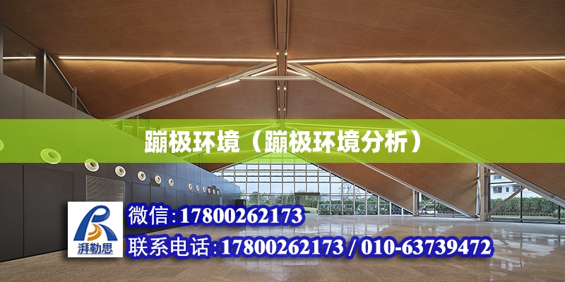 蹦极环境（蹦极环境分析）