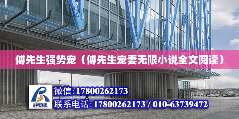 傅先生强势宠（傅先生宠妻无限小说全文阅读）