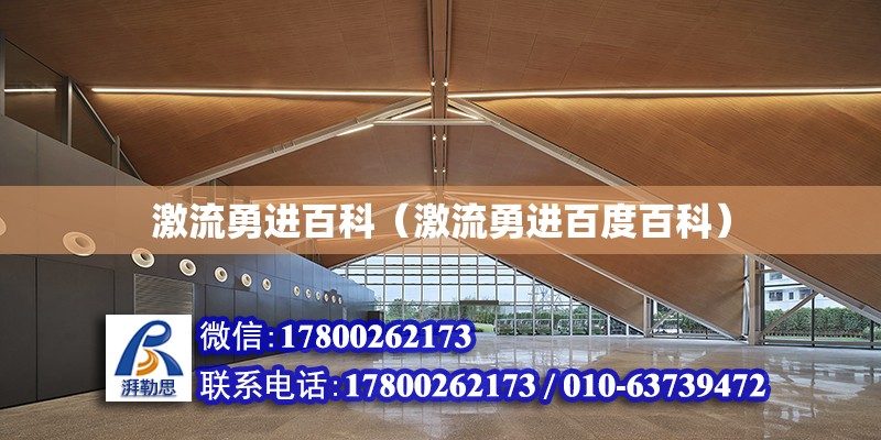 激流勇进百科（激流勇进百度百科）
