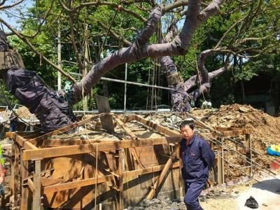 8米x8米钢结构用钢(8米x8米钢结构用钢的选择标准和计算方法) 建筑施工图施工 第4张 8米x8米钢结构用钢(8米x8米钢结构用钢的选择标准和计算方法) 建筑施工图施工 第4张
