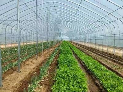 钢结构打顶瓦 钢结构网架施工 第1张 钢结构打顶瓦 钢结构网架施工 第1张