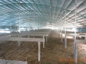 钢结构安装多少钱一平米 结构砌体施工 第5张 钢结构安装多少钱一平米 结构砌体施工 第5张