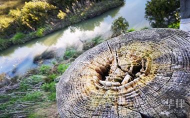 北京土地基准价格(北京市土地基准价格) 北京钢结构设计 第4张 北京土地基准价格(北京市土地基准价格) 北京钢结构设计 第4张