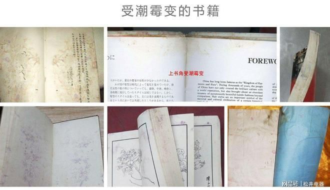 档案室加固以后面层开裂（如何预防屋面热胀冷缩开裂） 钢结构异形设计 第1张