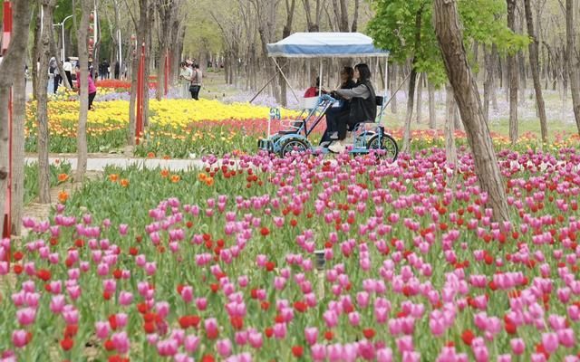 光伏发电北京市财政补贴多少年 钢结构钢结构螺旋楼梯设计 第3张