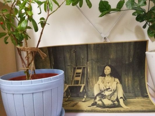 桁架改造花架图片大全（桁架改造花架图片大全桁架改造花架图片大全） 结构地下室施工 第2张