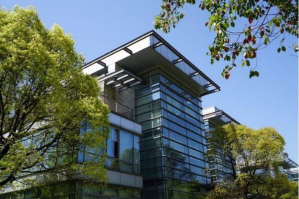 坤锐是什么意思