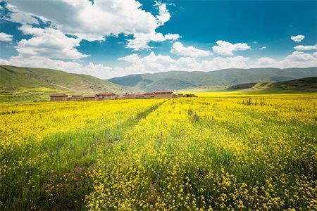 砖混结构的房子寿命到了怎么办 钢结构蹦极施工 第2张