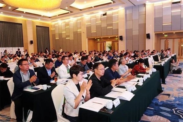 北京地面沉降 钢结构蹦极设计 第2张