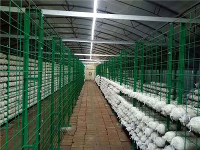 网架生产厂家,质量过硬,为您量身定制产品(在选择网架生产厂家时质量和服务的可靠性至关重要) 结构框架施工 第4张 网架生产厂家,质量过硬,为您量身定制产品(在选择网架生产厂家时质量和服务的可靠性至关重要) 结构框架施工 第4张