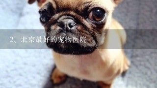 北京哪里有异宠医院(北京哪里有异宠医院北京哪里有异宠医院) 结构工业装备施工 第4张 北京哪里有异宠医院(北京哪里有异宠医院北京哪里有异宠医院) 结构工业装备施工 第4张