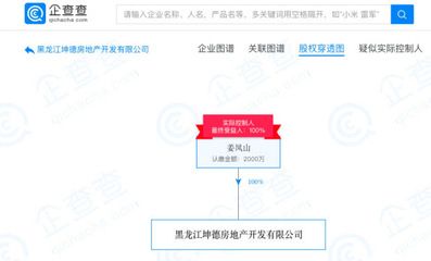 坤德房地产开发有限公司（合肥坤德房地产开发有限责任公司） 钢结构框架施工 第2张