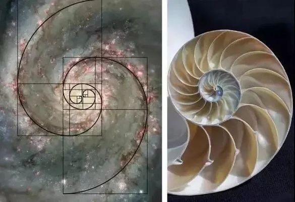 星之星冰箱说明书