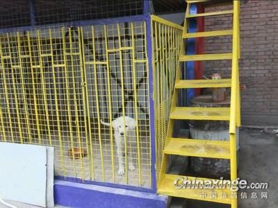 游乐园展板（游乐园展板上的疑问句） 北京钢结构设计问答