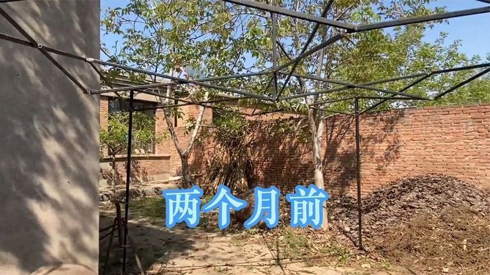 北京房屋改造视频 结构框架施工 第1张 北京房屋改造视频 结构框架施工 第1张