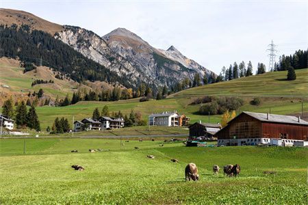 民用钢结构住宅(钢结构住宅的市场前景如何?) 结构工业装备设计 第3张 民用钢结构住宅(钢结构住宅的市场前景如何?) 结构工业装备设计 第3张
