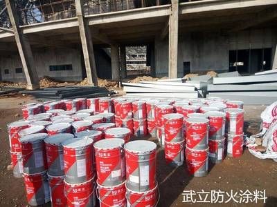 防火涂料 钢结构(钢结构防火涂料的施工工艺)