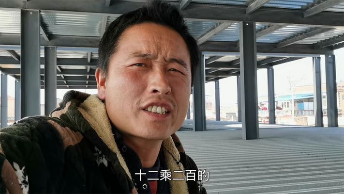 钢结构建房视频（关于钢结构建房的相关视频） 钢结构网架设计 第3张