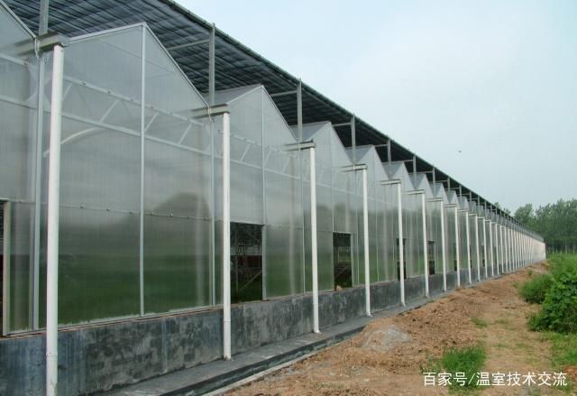 加油站钢架大棚每平方米造价(加油站钢架大棚每平方米造价受多种因素影响) 钢结构网架设计 第1张 加油站钢架大棚每平方米造价(加油站钢架大棚每平方米造价受多种因素影响) 钢结构网架设计 第1张