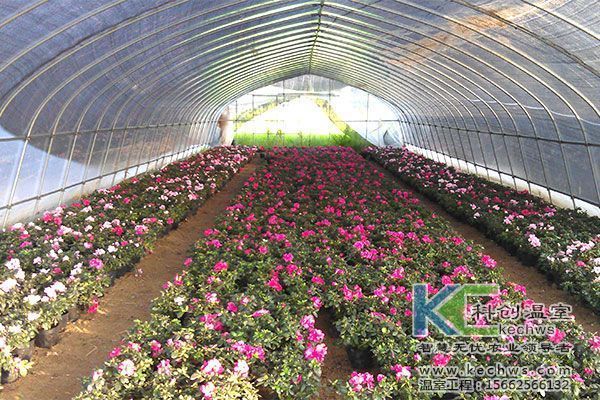 加油站钢架大棚每平方米造价(加油站钢架大棚每平方米造价受多种因素影响) 钢结构网架设计 第5张 加油站钢架大棚每平方米造价(加油站钢架大棚每平方米造价受多种因素影响) 钢结构网架设计 第5张