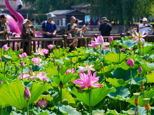 北京市老旧房改造政策 北京加固施工 第1张 北京市老旧房改造政策 北京加固施工 第1张