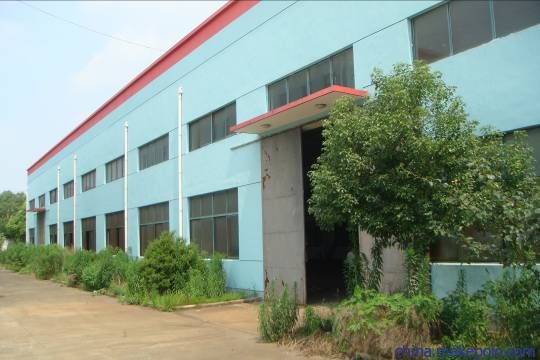 重庆办公楼加固设计公司（贵公司在重庆办公楼加固设计方面有哪些专长和特色服务） 北京钢结构设计问答
