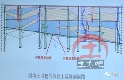 幼儿园绿化设计图片（幼儿园的绿化设计中，植物的选择对孩子们的健康和情绪有何影响？）