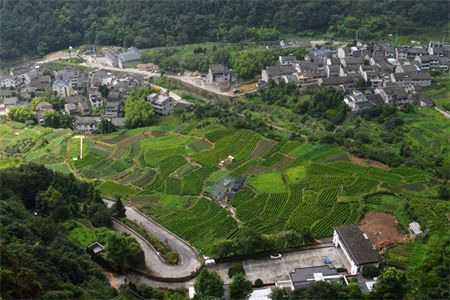 钢结构住宅施工方案（钢结构住宅施工成本控制） 装饰家装施工 第1张