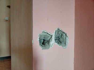 西宁led透明玻璃幕墙厂家联系电话（西宁led透明玻璃幕墙厂家有哪些主要的产品特点？） 北京钢结构设计问答