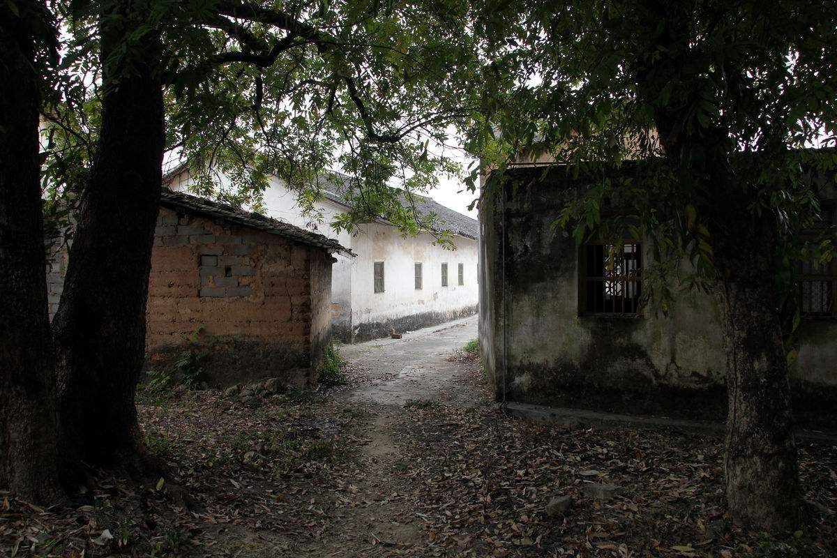 农村土房地基加固图片 结构桥梁钢结构设计 第1张