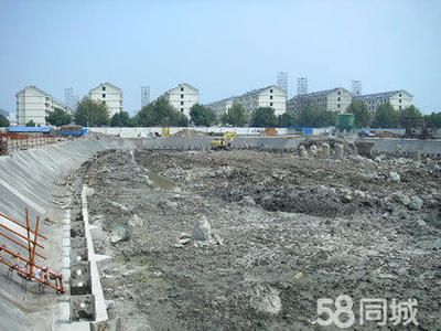 学校花园设计效果图片大全（学校花园设计效果图片大全中都有哪些常见植物种类）