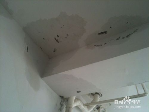 空心板的房子漏水怎么修(空心板房子漏水怎么办) 钢结构跳台设计 第5张 空心板的房子漏水怎么修(空心板房子漏水怎么办) 钢结构跳台设计 第5张