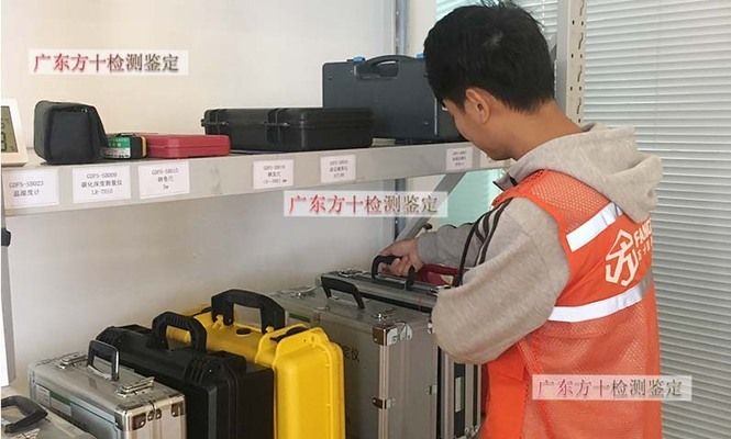 砖混结构房屋加固改造费用由谁承担 钢结构蹦极设计 第1张 砖混结构房屋加固改造费用由谁承担 钢结构蹦极设计 第1张