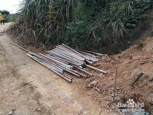 冷库施工图片真实高清（冷库施工中如何确保制冷系统的安全运行？）
