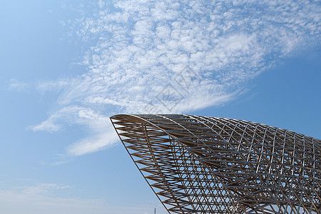 厂房钢构图片大全大图（厂房钢构图片大全） 结构工业装备施工 第2张