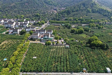 砖墙房屋加固翻新的方法（砖墙房屋出现倾斜情况可能是地基问题） 建筑消防施工 第5张