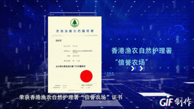 北京基地直供平台 钢结构有限元分析设计 第2张
