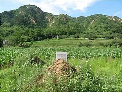 北京土地基准价格是多少 结构砌体施工 第4张 北京土地基准价格是多少 结构砌体施工 第4张