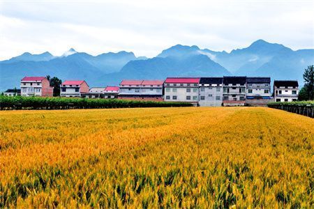 别墅加层罚款处理后算违建吗 建筑施工图施工 第4张 别墅加层罚款处理后算违建吗 建筑施工图施工 第4张