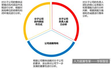 设计项目负责人年龄限制 钢结构框架施工 第2张