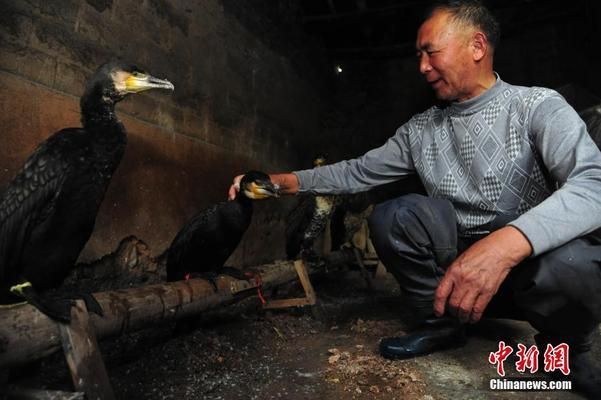 北京市拆墙整治文件 建筑消防施工 第2张 北京市拆墙整治文件 建筑消防施工 第2张