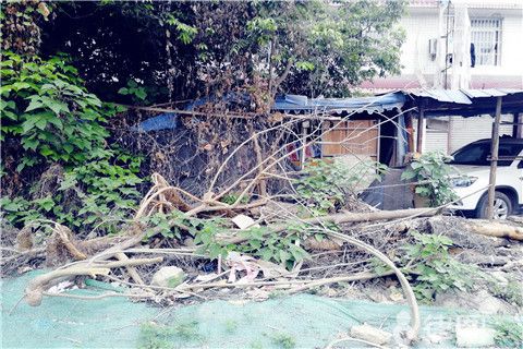 农村宅基地加固（农村宅基地加固政策最新动态,农村房屋加固案例分享） 结构工业装备施工 第4张